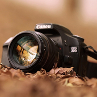 vamos